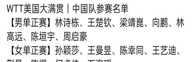 乒乓大满贯(乒乓大满贯赛事)